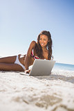 Cheerful attractive woman in bikini using her computer