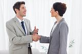 Happy colleagues shaking hands during meeting