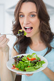 Healthy brunette having salad