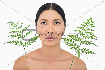 Sensual dark haired model with fern looking up