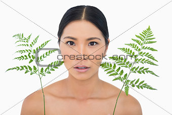 Surprised sensual dark haired model with fern looking up