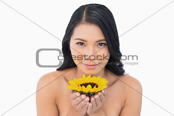 Natural black haired model holding sunflower