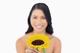 Smiling natural model holding sunflower in her hand