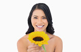 Cheerful natural model holding sunflower in her hand