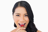 Attractive brown haired model eating strawberry