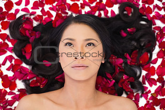 Thoughtful attractive dark haired model lying in rose petals