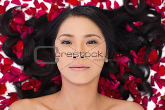Sensual dark haired model lying in rose petals