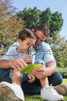 Smiling dad and son inspecting leaf with a magnifying glass