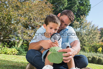 Cheerful dad and son inspecting leaf with a magnifying glass
