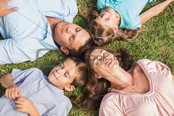 Family lying on the grass in a circle