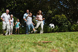 Cheerful multi generation family playing football