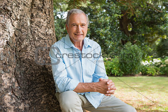 Cheerful mature man sitting on tree trunk