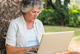 Grey haired woman with a laptop