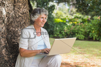Happy grey haired woman with a laptop sitting on tree