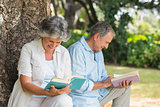 Retired couple reading books together sitting on tree trunk