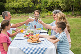 Multi generation family toasting each other at dinner outside