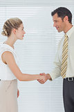 Businessman shaking hands with his attractive colleague