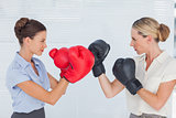 Businesswomen with boxing gloves fighting
