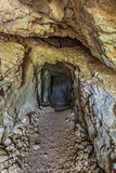 old tunnel through mountain rock 