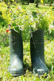 Boot Flowerpot in garden