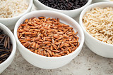 brown rice grain