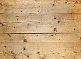Natural fir wood texture