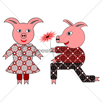 Love between two pigs