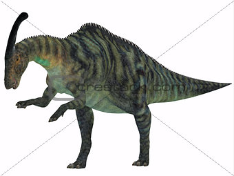 Parasaurolophus Dinosaur on White
