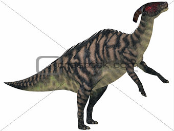 Parasaurolophus Striped on White