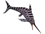 Eurhinosaurus Ichthyosaur on White