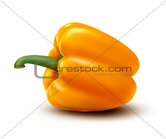 Fresh yellow pepper. Vector 
