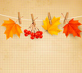 Autumn background with leaves. Vector illustration. 