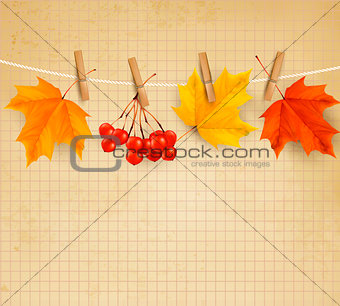 Autumn background with leaves. Vector illustration. 
