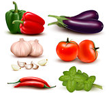 The big colorful group of vegetables. Vector illustration. 