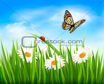 Nature background with green grass, flowers and a butterfly. Vec