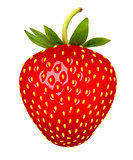 Strawberry. Vector.
