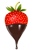 Chocolate dipped strawberry. Vector
