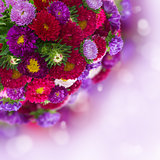 bouquet of fresh aster flowers on bokeh background