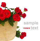 bouquet of red roses in basket close up