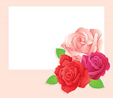 Background with beauty roses