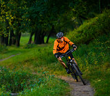 Cyclist Riding the Bike in the Beautiful Summer Forest