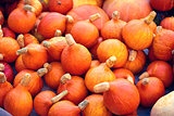 Small orange pumpkins