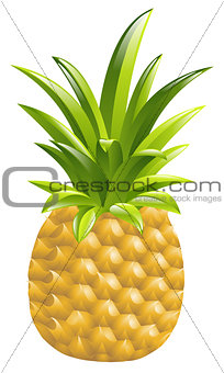 Illustration of a pineapple icon illustration