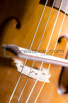 Detail of cello strings and bow