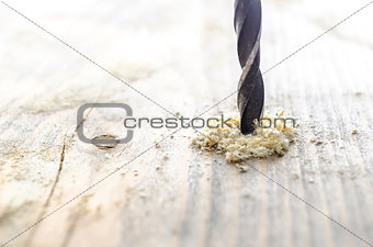 Wood drill bit with sawdust