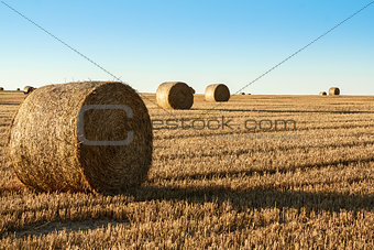 hay bale in the foreground of rural field 