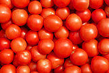 Many ripe red tomatoes