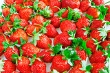 brightly red juicy and ripe strawberry