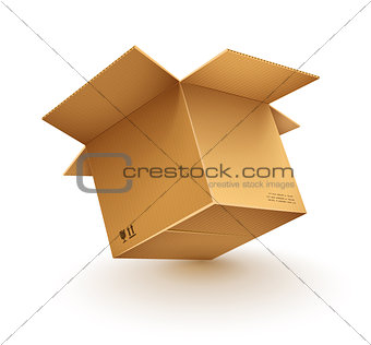 empty opened cardboard box