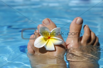 Feet and Flower